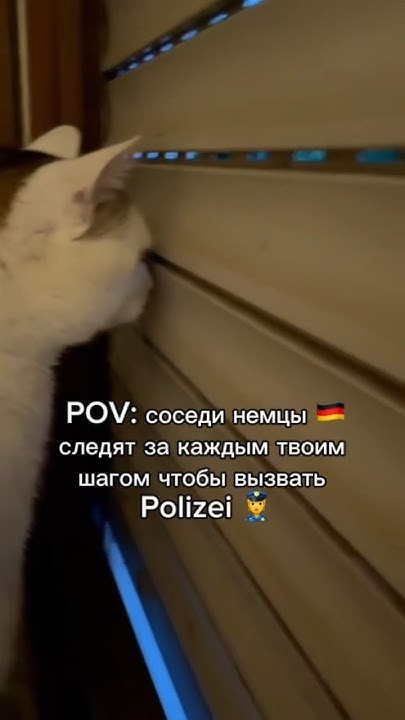 Кот сосед в Германии - YouTube