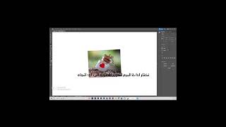 شرح برنامج illustrator للمبتدئين