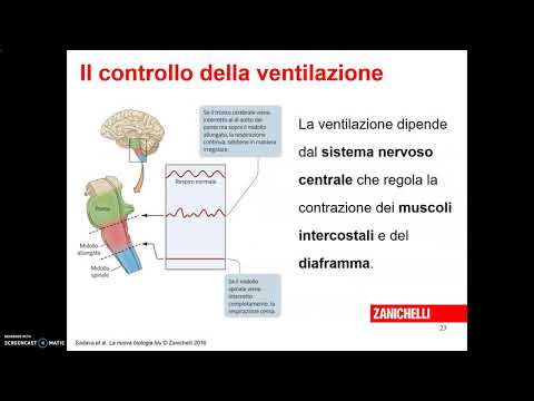 Video: Stationeers Di Dean Hall Si Occupa Di Sacche Di Equilibrio, Trapianti Di Polmoni E Stress