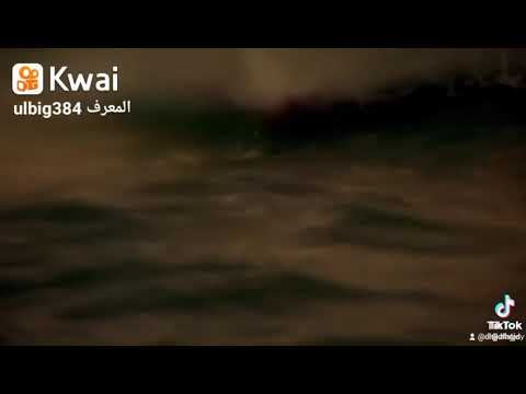 ما كل ما يتمنى المرء يدركه اناشيد دينية حالات وتساب مشاري العفاسي