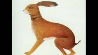 Vashti Bunyan - Hidden