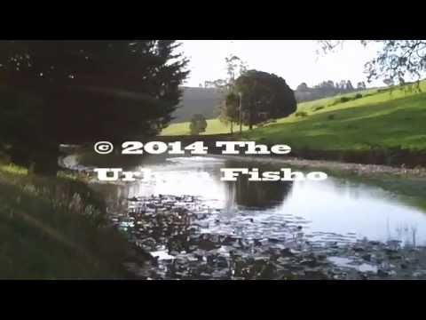 Would you fish here? Nice string of pools...