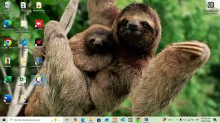 Descarga de Java Netbeans y Primer Programa PHP