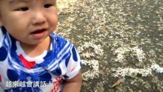 1030523 哈蜜的成長～