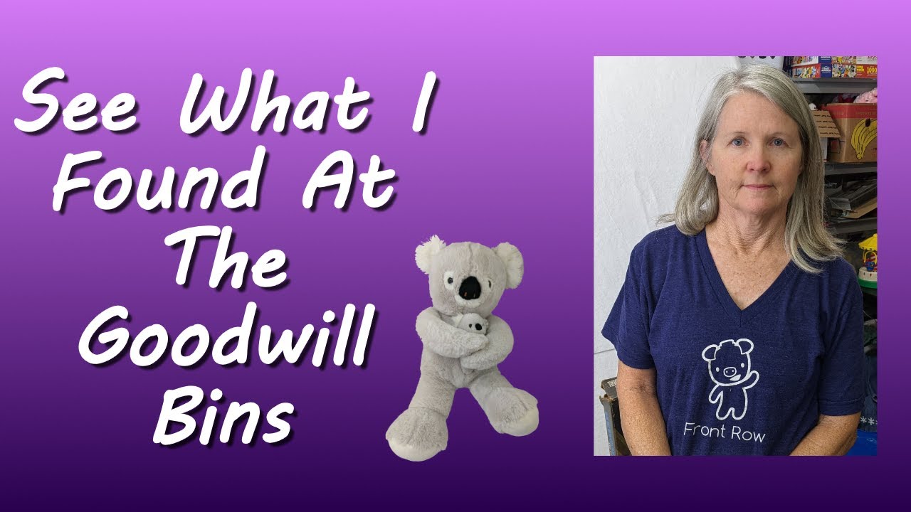 More Plush And Toys From the St. Louis Goodwill Bins Outlet YouTube