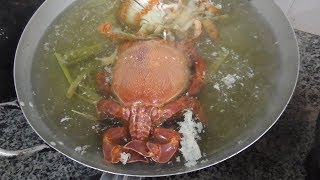 Vietnam DYNASTY CRAB - Seafood street food in Vietnam