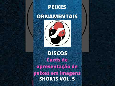 aquarismo & quiz – DISCO #shortz