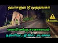 Hasanur to muthanga wildlife sanctuarythrilling midnight driveelephant chasing