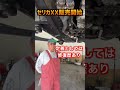 シャコタンなのに擦らないセリカXXの謎 #celica #旧車 #shorts