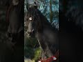Create Animation and Gaming | Tutorial Video #shorts #viral #tamil #tutorial