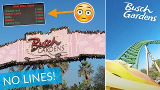 An EMPTY Busch Gardens Tampa Bay Christmas: Best Day of My Life (Coasters, No Lines, & More!)