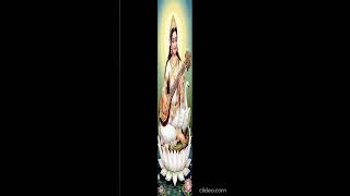 🎶 Maa Saraswati Darshan | Bestow Wisdom, Learning & Success
