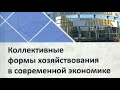 Специальный репортаж "Что такое "Народные предприятия"