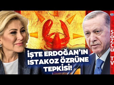 AKP'de Istakoz Vakaları Bitmiyor! Şebnem Bursalı Erdoğan'dan Özür Diledi Erdoğan Bakın Ne Yapmış!