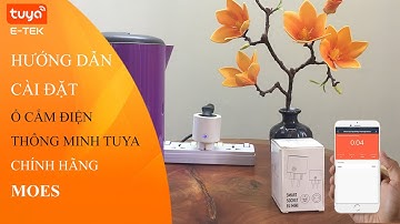 Hướng dẫn cài đặt Ổ cắm điện thông minh Wifi Tuya hãng MOES
