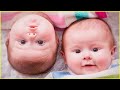 “Twins – Buy one get one free🎁…” - 😚😄 TWIN BABIES Adorables Moment😘