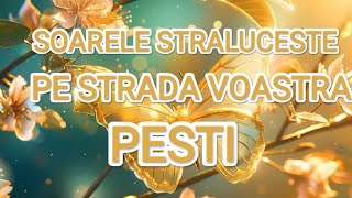 🌞PESTI🌞SOARELE STRALUCESTE PE STRADA VOASTRA 🌞 MUNCA VOASTRA ESTE RASPLATITA PE MASURA🌞RECOMPENSE🌞