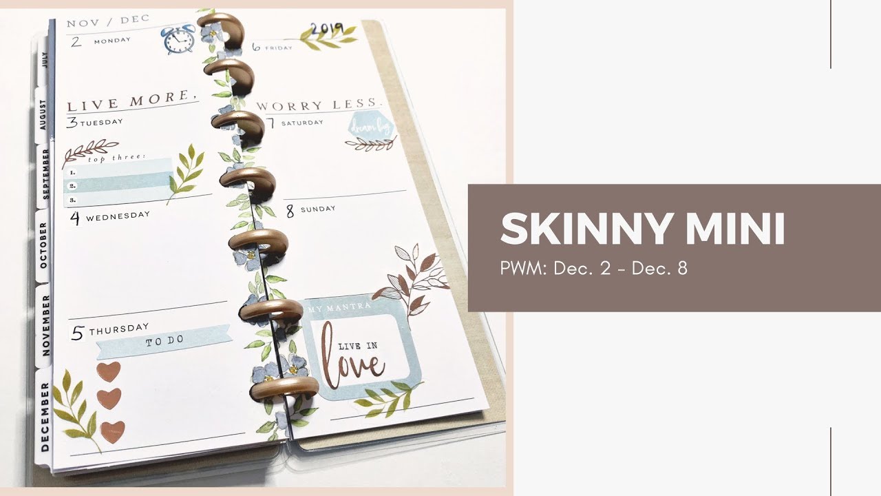 Skinny Mini - Plan With Me