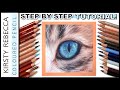 REALISTIC FUR with COLOURED PENCIL! // Cat eye study - Step by Step!