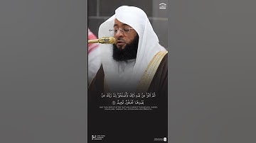 تلاوة هادئة وبديعة تفوق الجمال! ~ للشيخ بدر التركي ♥️..