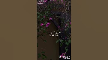 آيات من الذكر الحكيم