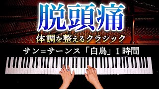 頭痛に効く・聴くクラシック白鳥時間【途中広告なし・脱頭痛・睡眠・癒し・寝かしつけ・作業用・勉強用BGM】サン・サーンス  ピアノ  Classical Piano  CANACANA