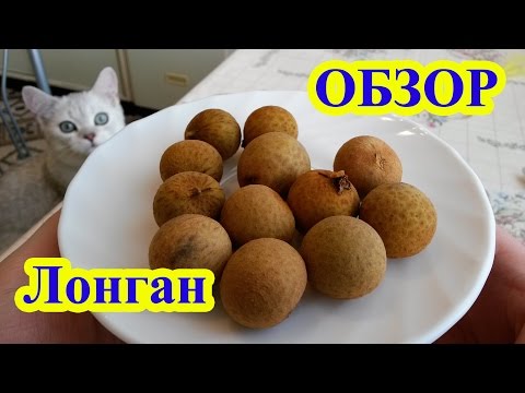 Видео: Лонган