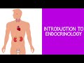 51 introduction to endocrinology