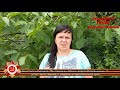 Константин Симонов, "Ты помнишь, Алеша, дороги Смоленщины..", читает Алла Перова, с. Садовое