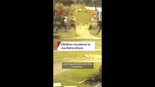 Children murdered in machete attack