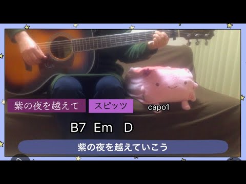 紫の夜を越えて／スピッツ  ギター    ゆっくり弾き語り  NEWS23  新エンディング曲  1カポ