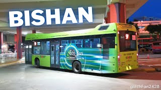 Buses at Bishan Bus Interchange, Singapore 2020