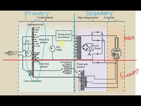 Diagram Of X Ray Circuit