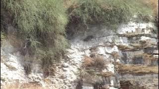 BUKIT GOLGOTA TEMPAT YESUS DISALIBKAN