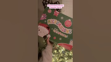 Day 8! impressed I haven’t missed a day yet! #squishmallows #squishmallow #squishy #adventcalendar