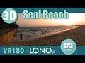 Vr180 Seal Beach Pier at Sunset Relaxing POV VR Visit 3d Video