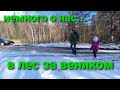 Улан-Удэ НЕМНОГО О НАС👨‍👩‍👧‍👦 В ЛЕС ЗА ВЕНИКАМИ/забрался на гору/ВМЕСТЕ С НАМИ