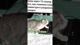 #приколы #мемы #мем #школа #лютыеприколы