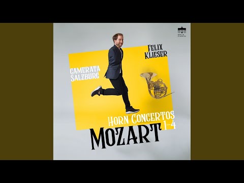 Concerto No. 1 in D Major, K.412/518: II. Rondo. Allegro auf YouTube ansehen