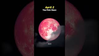 The crazy moon 🌔🌕 ☠️💀 2026#shorts #space#astronomy #moon #universe #earth #sun #sciencefacts#science