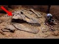 Most AMAZING Fossil Discoveries Ever!