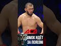Омок ACA дин куруна беттешеби? #fighting #mma #ufc #бой #aca #brave #bravefc #kyrgyz