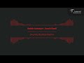 Rabih Gemayel Faw2 L3adi Jhonny Boutros Remix 