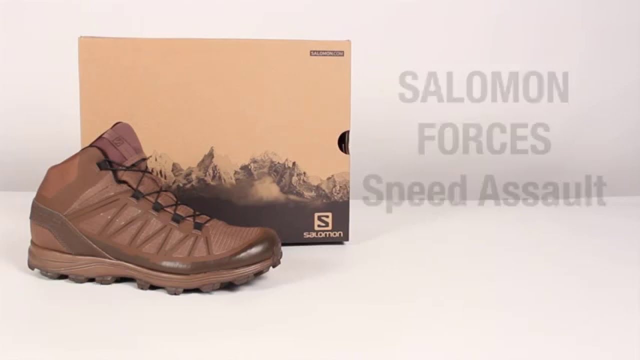 salomon assault shoes