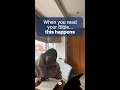 What Happens When You Read the Bible 4 Times a Week?