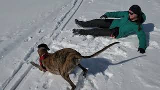 Mojo Romping in the snow, unedited