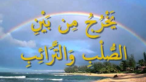 القرآن المعلم /شبكة المصطفى / بصوت المنشاوي - سورة  الطارق