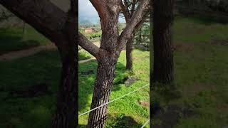 VID 20211020 113010