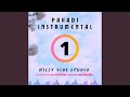 Pahadi 1 instrumental version