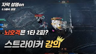 스트라이커로 pvp 티어 올리는 방법. 자막해설 및 스킬트리